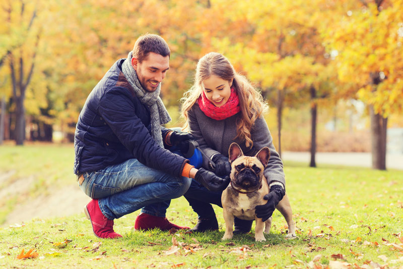 Couple with Dog at Park